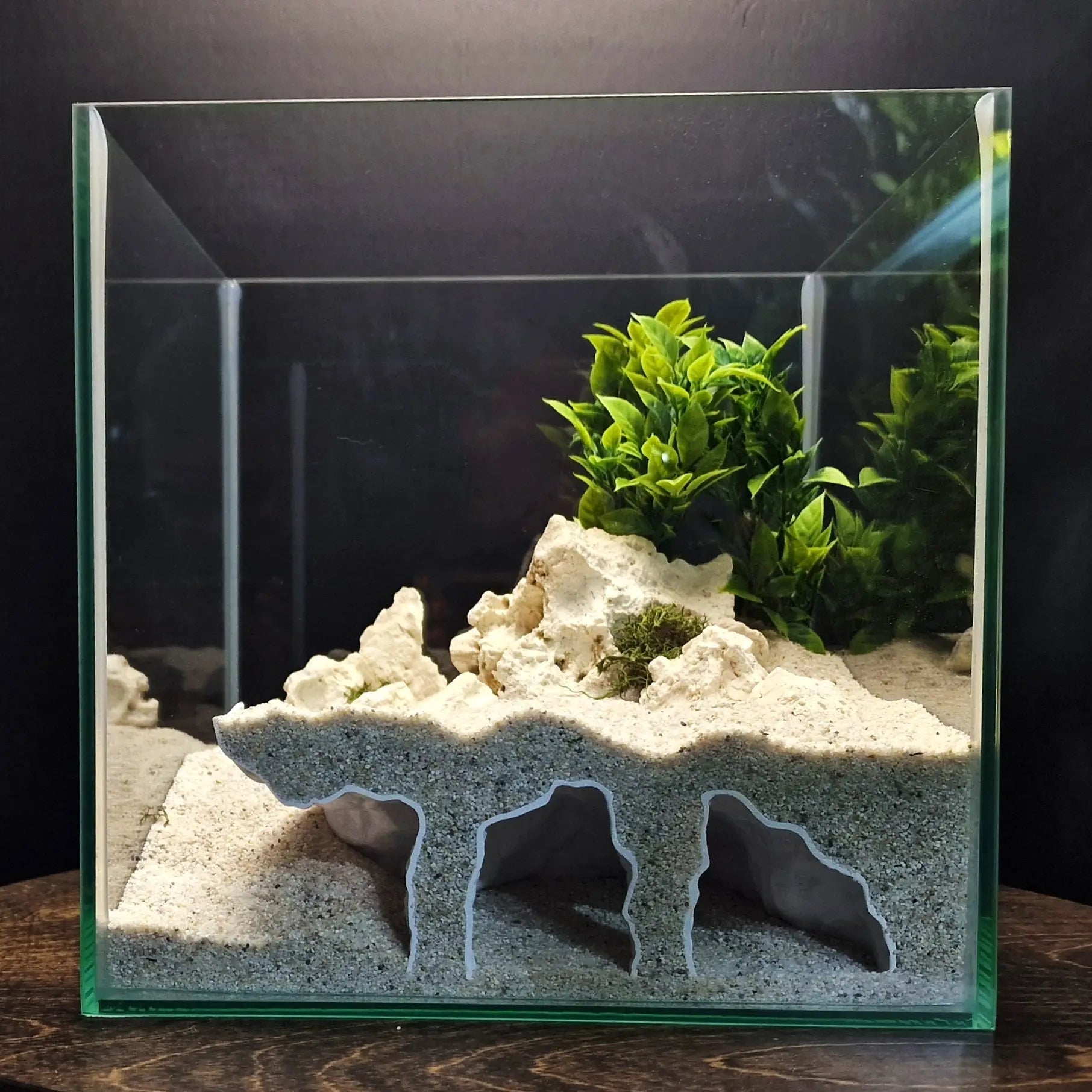 Realistic 3D Orbital Cave Aquarium & Reptile Shelter - Perfect Hiding Spot for Fish, Shrimp, Lizards, and Snakes - Ideal for Aquatic Landscaping and Office Decor