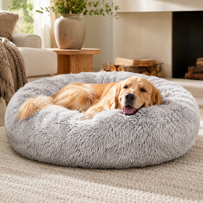 Give Your Dog the Calming Comfort They Crave