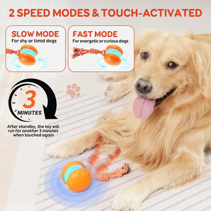 QGI Interactive Electric Dog Ball - Automatic Motion-Activated Toy for All Dog Sizes, Perfect for Boredom Relief and Fun Playtime!