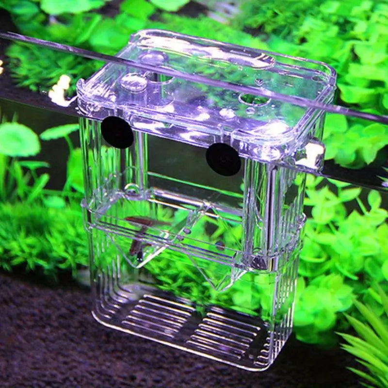Double Layer Fish Hatching Incubator Box - Clear Plastic Isolation Breeding Box for Aquariums - Ideal for Home & Pet Shops - Essential Fish Tank Accessory
