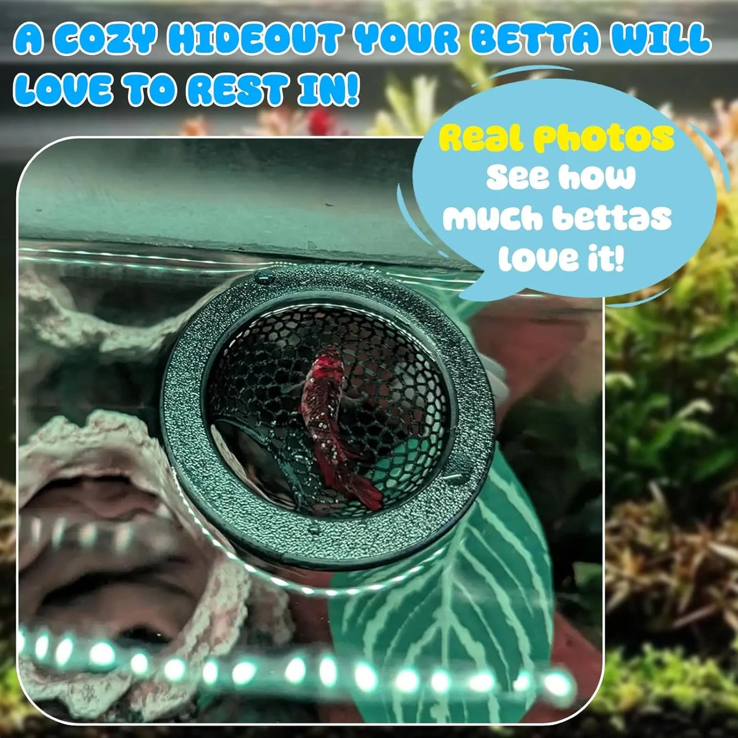Floating Betta Hide & Shrimp Cave - Multi-Functional Hammock and Feeding Ring for Betta Fish, Shrimp & Small Aquatic Pets