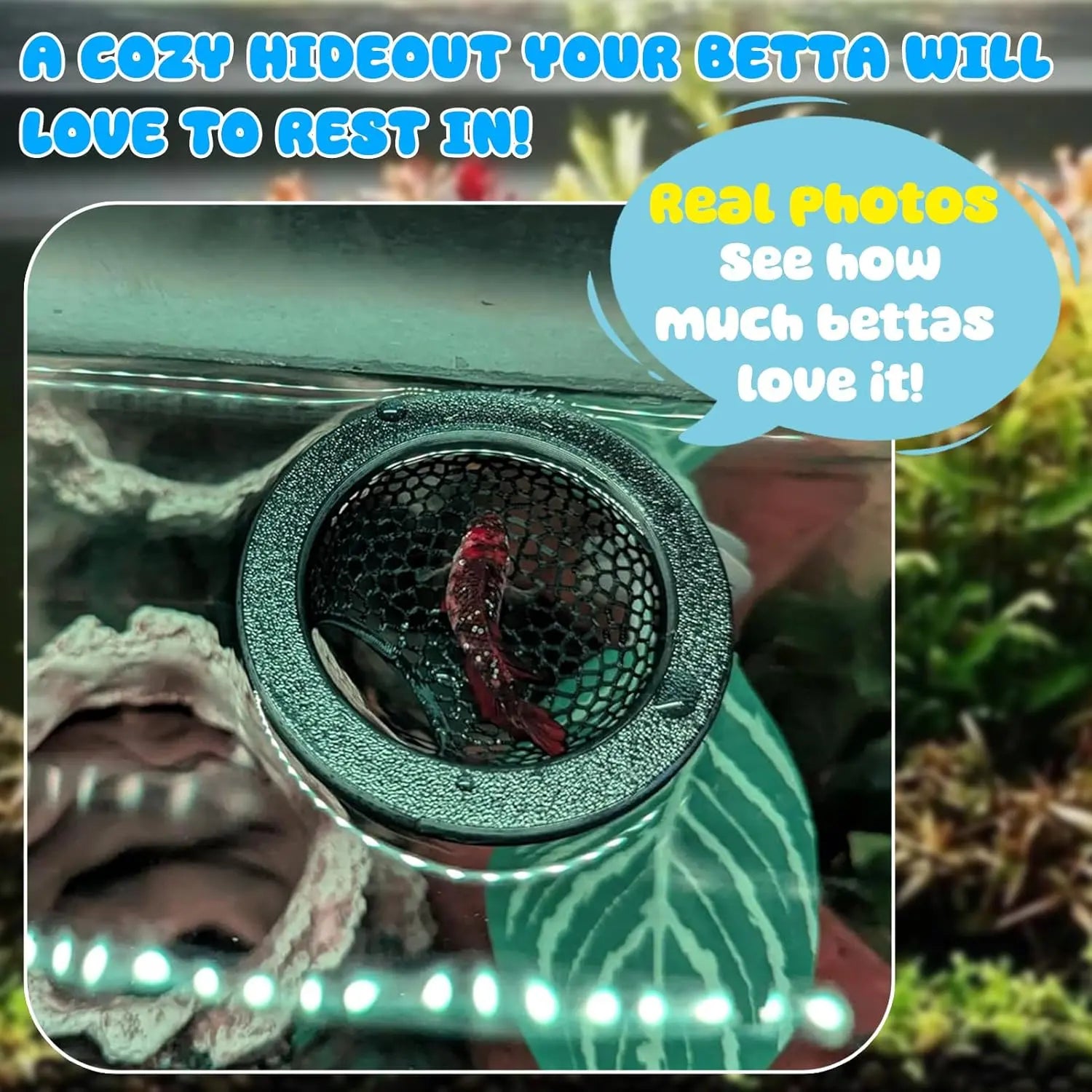Floating Betta Hide & Shrimp Cave - Multi-Functional Hammock and Feeding Ring for Betta Fish, Shrimp & Small Aquatic Pets