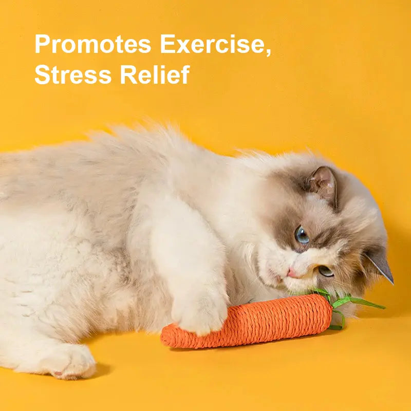 Cotton Carrot Cat Chew Toys