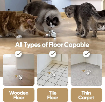Interactive Fishbone Rolling Ball Cat Toy with Catnip - USB Rechargeable Kicker for Indoor Fun!