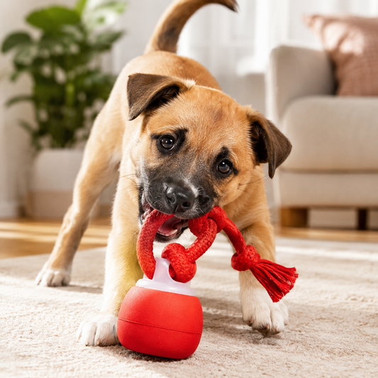 Rechargeable Squeaky Rope Toy for Small-to-Medium Dogs