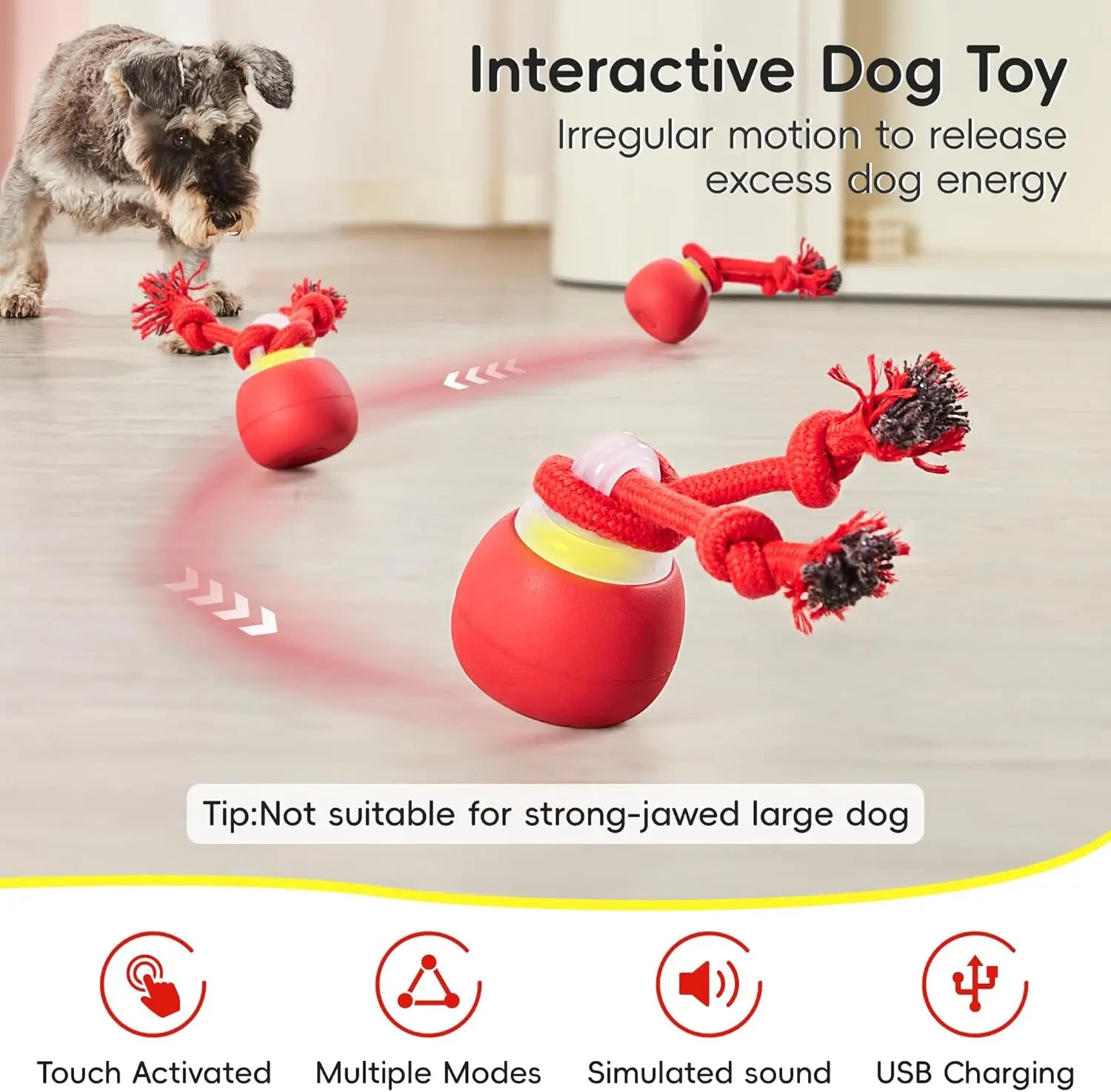 Crazy Ball - Rechargeable Squeaky Toy with Rope for Small & Medium Dogs - Perfect for Playtime & Training - Dark Red
